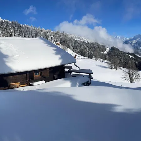 Le Petit érable - Vue Mont Blanc Apartamento