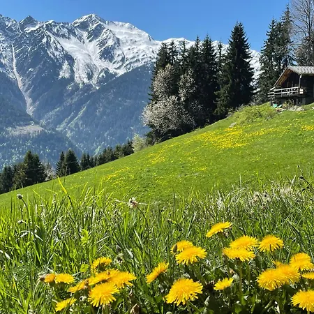 Apartamento Le Petit érable - Vue Mont Blanc *