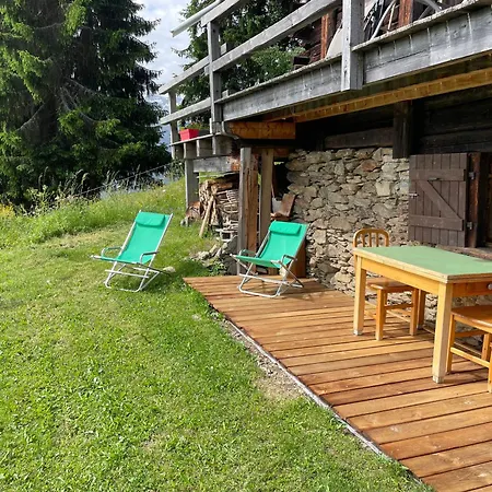 Le Petit érable - Vue Mont Blanc * Villard-sur-Doron