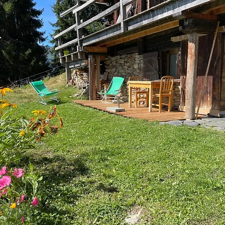 Le Petit érable - Vue Mont Blanc Villard-sur-Doron