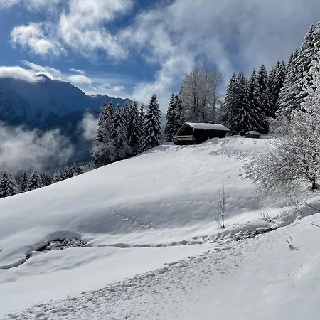 Le Petit Erable - Vue Mont Blanc Apartmán